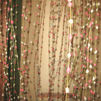 d0033734_11264935.gif