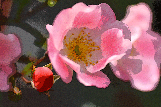 d0069235_0101099.gif