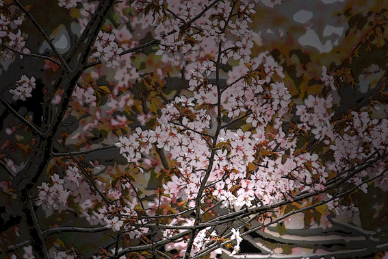 d0069235_0113697.gif