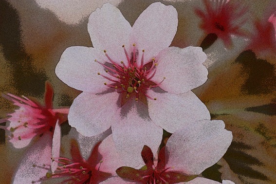 d0069235_012542.gif