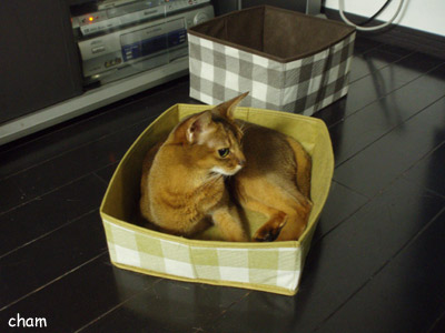 c0132438_21345259.jpg
