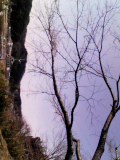 c0152241_832289.jpg