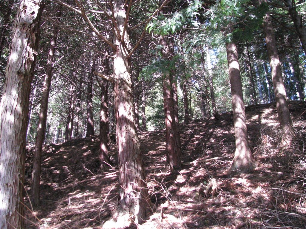 f0151044_2210835.jpg