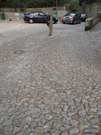 f0143445_2317558.jpg