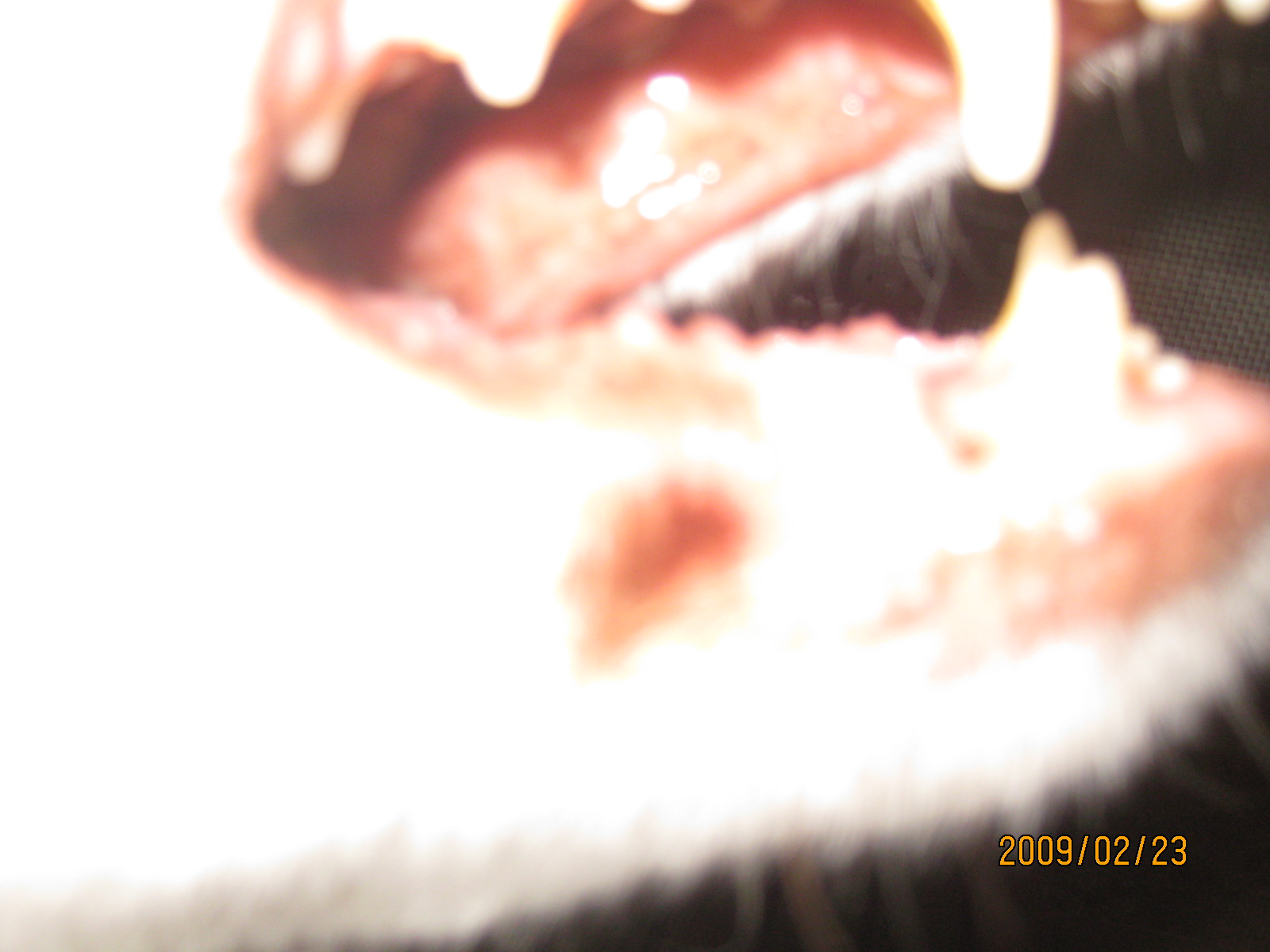 e0121548_2147491.jpg