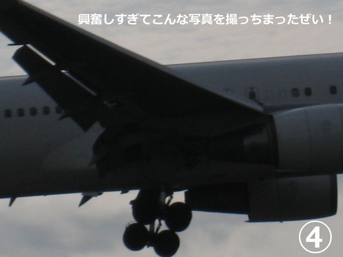 a0090451_22481451.jpg