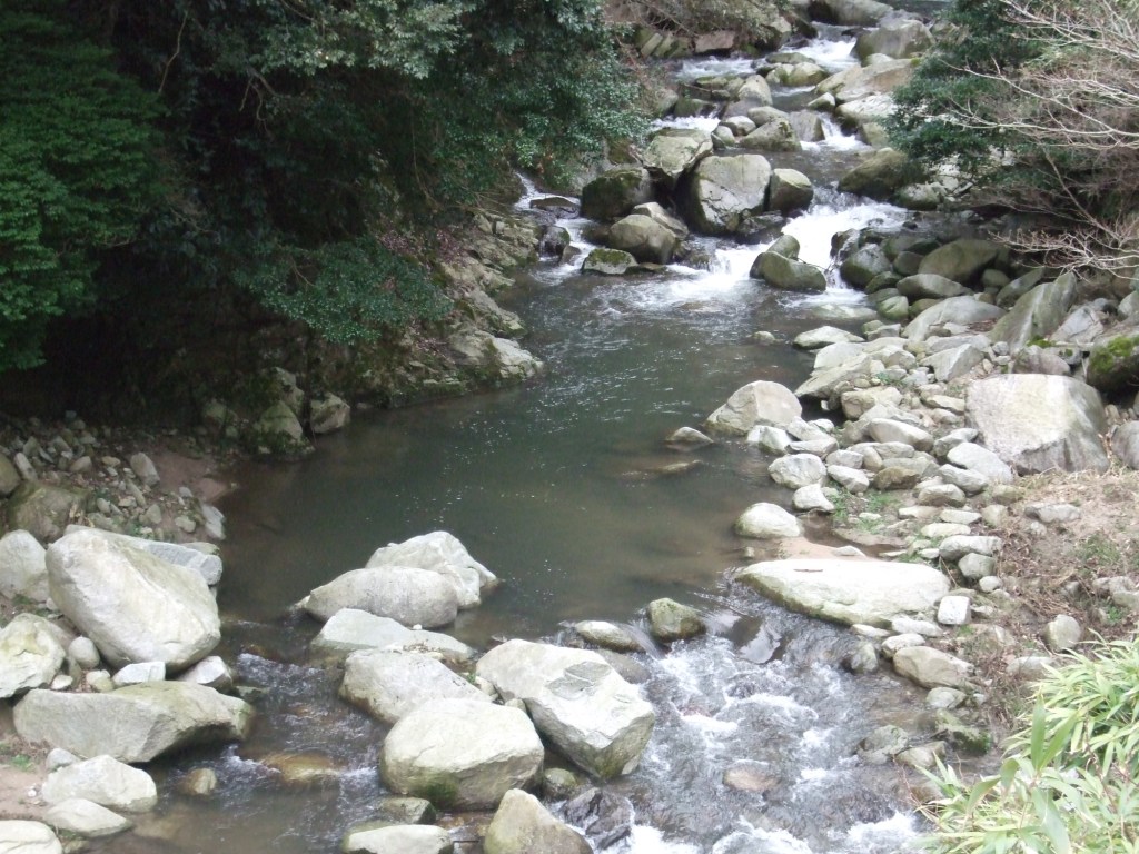 c0019951_21321157.jpg