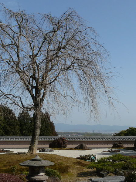 e0017051_23245340.jpg