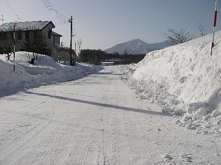 a0056654_16562722.jpg