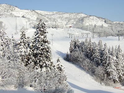 b0145863_2027875.jpg