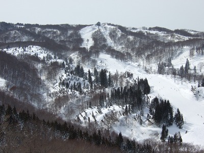 b0145863_23192763.jpg