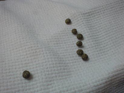 e0166066_1472514.jpg