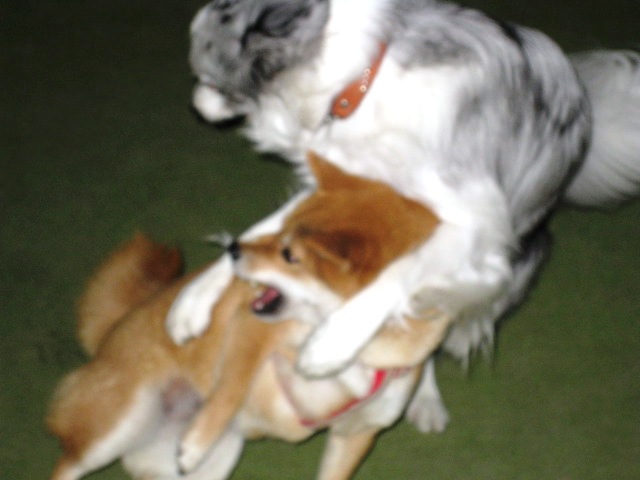 c0171368_2153217.jpg