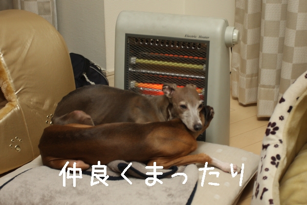 b0069169_16422919.jpg