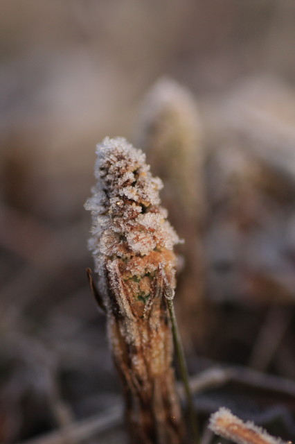 c0148777_211740100.jpg