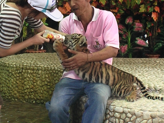 d0144077_0321038.jpg