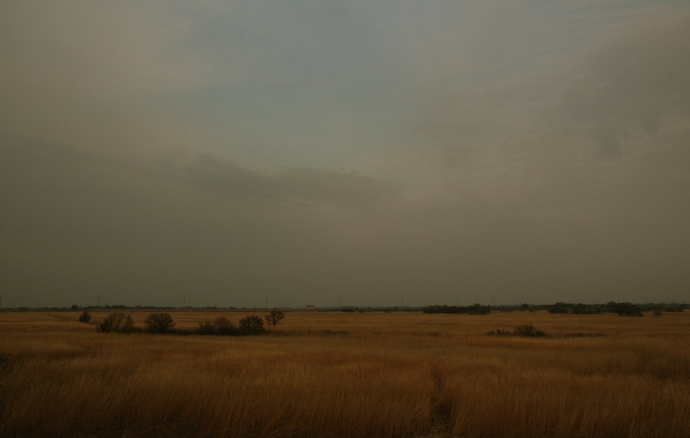 e0015377_2115245.jpg