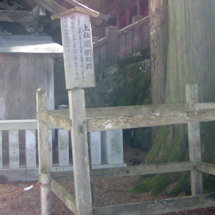 a0091680_12492146.jpg