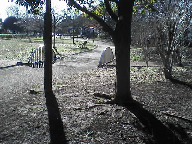 c0069380_177070.jpg