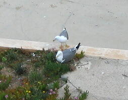 f0120980_10423061.jpg