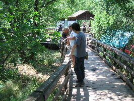 f0120980_10493560.jpg