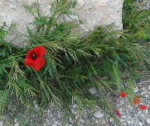f0120980_14454965.jpg