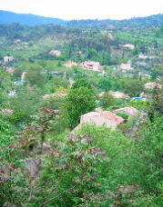 f0120980_14464599.jpg