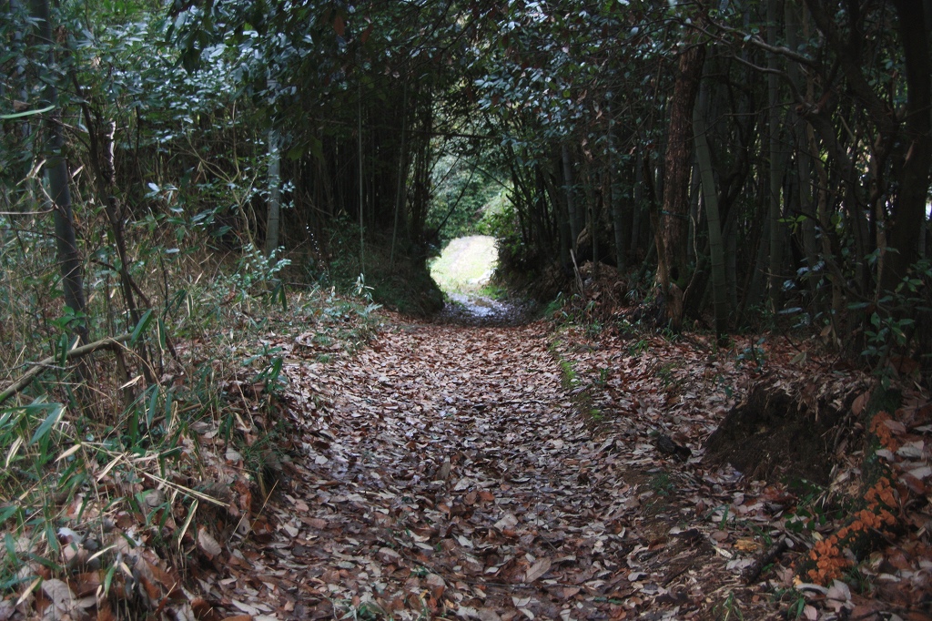e0024081_1714417.jpg