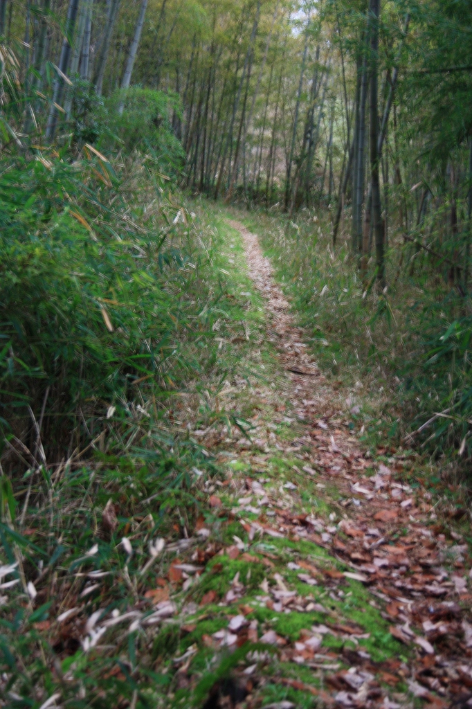 e0024081_1715737.jpg