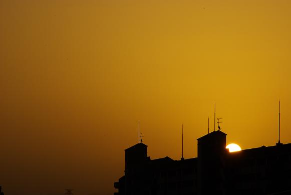 c0150986_6291993.jpg