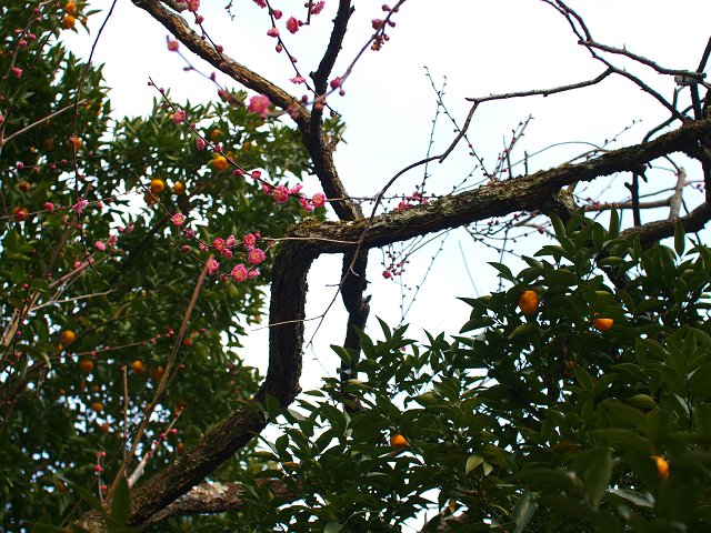 c0187587_23231446.jpg