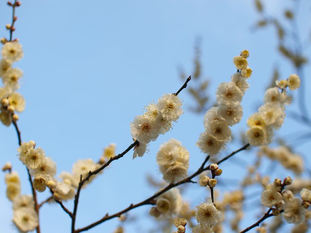 c0187587_23253715.jpg