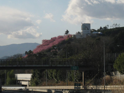 f0110488_101837.jpg