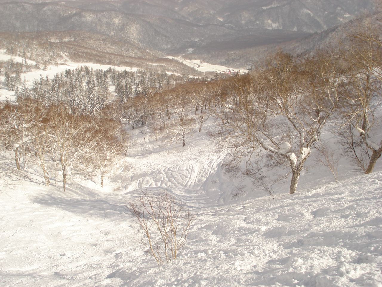 a0115090_2211028.jpg