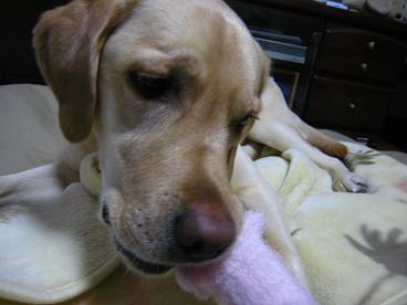 c0028792_2393072.jpg