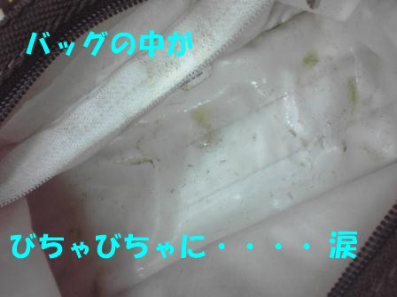 c0196992_13202519.jpg
