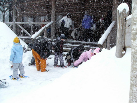 f0155495_2051975.jpg