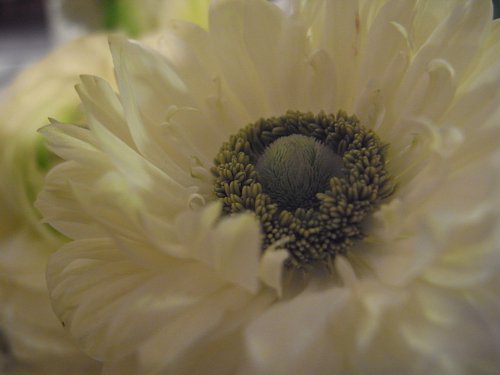 a0036499_23261146.jpg