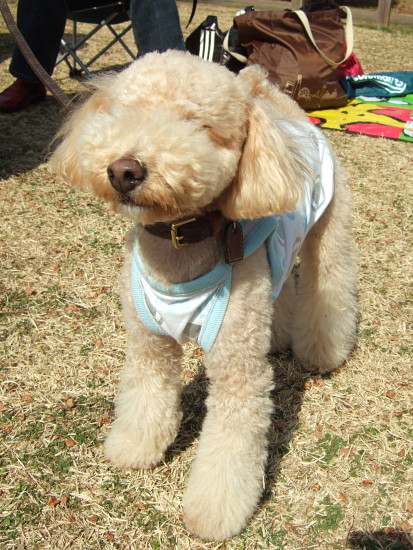 c0044199_21173358.jpg