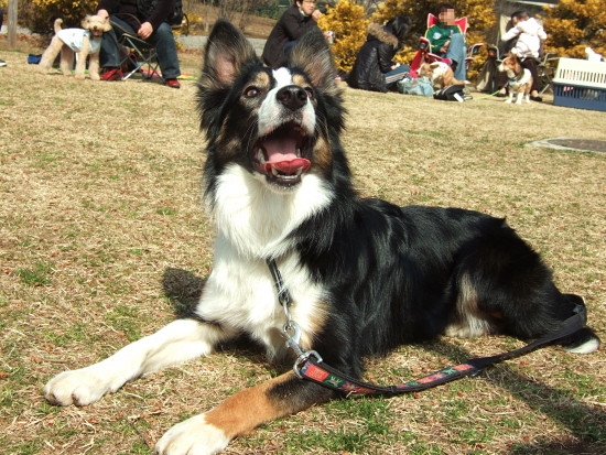 c0044199_2118637.jpg