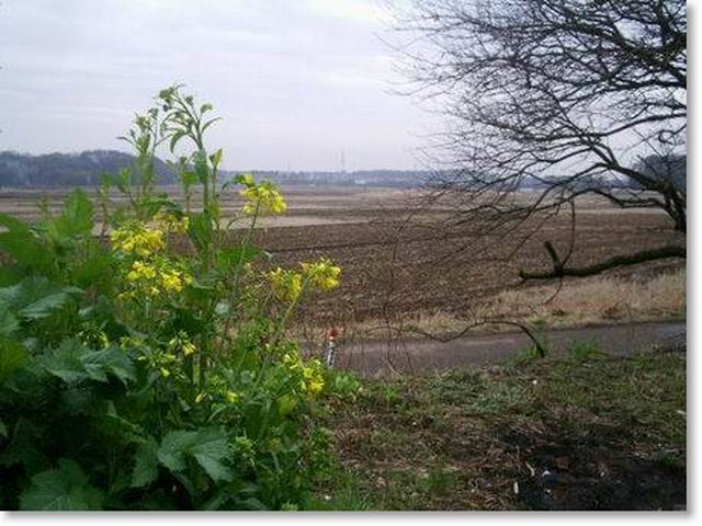 e0025300_14384165.jpg