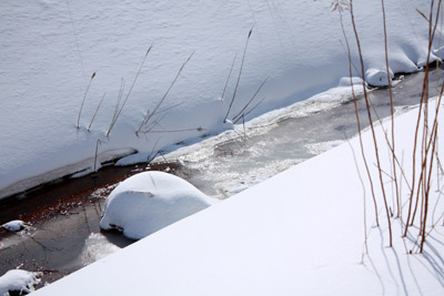 a0050802_0102736.jpg