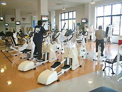 e0162304_1171517.jpg