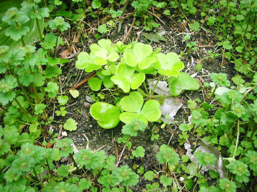 f0035506_23302763.jpg