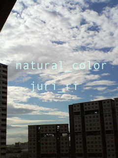 c0063808_17422161.jpg