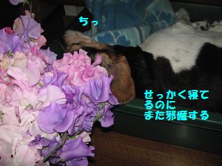 d0104209_23515524.jpg
