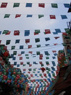 d0000212_073774.jpg
