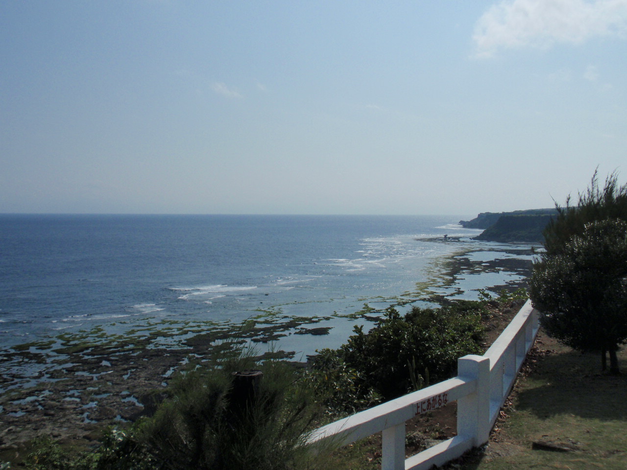 b0062214_22343691.jpg