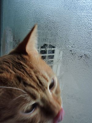 c0145016_14135341.jpg