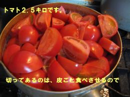 b0008217_20215293.jpg